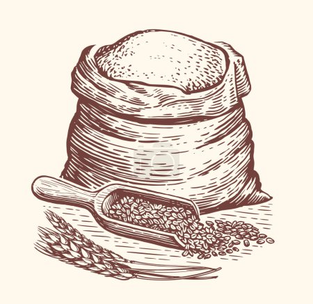 Ilustración de Bolsa llena de harina, cucharada de madera con granos y espigas de trigo. Alimento orgánico saludable de granja natural. Vintage bosquejo vector - Imagen libre de derechos