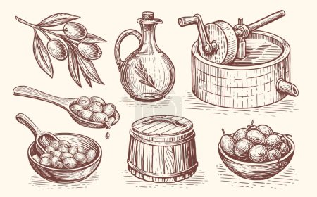 Téléchargez les illustrations : Concept de production d'huile d'olive. Aliments naturels extra vierges, sains et naturels. vecteur de croquis vintage dessiné à la main - en licence libre de droit