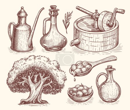 Téléchargez les illustrations : Olive oil production concept. Healthy organic natural farm food. Hand drawn vector sketches in vintage engraving style - en licence libre de droit