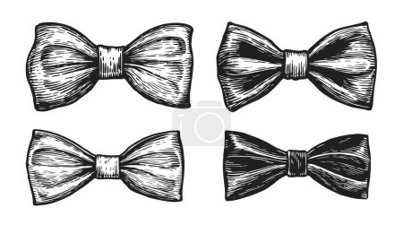 Bow tie set. Hand drawn necktie sketch. Retro fashion concept. Illustration in vintage engraving style