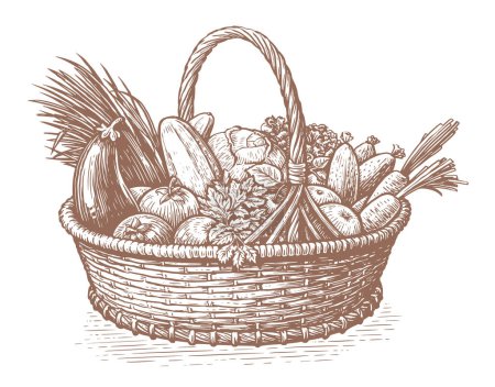 Ilustración de Hand drawn basket full of fresh vegetables. Farm organic food. Sketch vintage vector illustration - Imagen libre de derechos