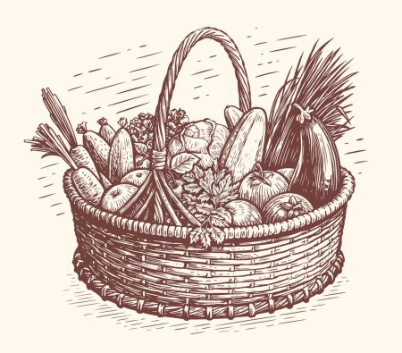 Téléchargez les illustrations : Healthy fresh organic vegetables in a wicker basket. Natural farm food concept. Vector illustration sketch vintage - en licence libre de droit