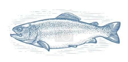 Téléchargez les illustrations : Trout, whole fish sketch isolated. Fishing, seafood concept. Hand drawn vector illustration in vintage engraving style - en licence libre de droit