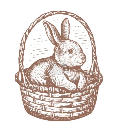 Illustration for Easter bunny rabbit in basket. Hand drawn cute hare in sketch style. Easter symbol, sketch vector illustration - Royalty Free Image