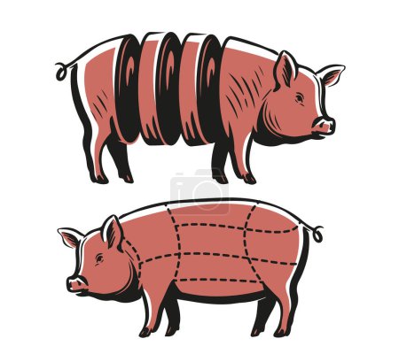 Ilustración de Pig, Pork meat diagram, scheme. Butchery symbol with pork meat cuts. Vintage butcher meat diagram. Vector illustration - Imagen libre de derechos