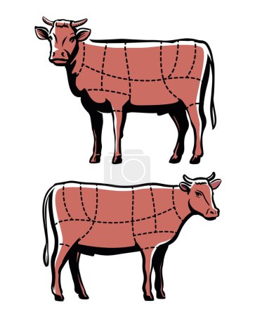 Ilustración de Beef cuts chart. Cow meat cutting diagram for restaurant menu or butcher shop. Farm animal vector illustration - Imagen libre de derechos