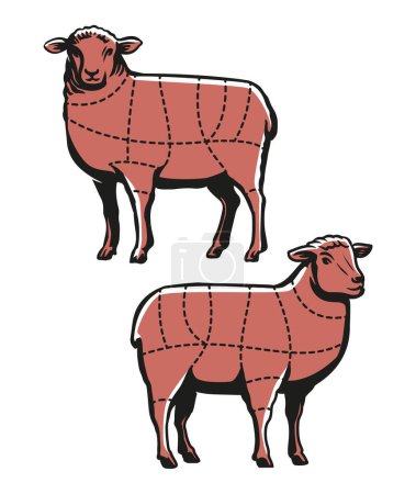 Téléchargez les illustrations : Lamb cutting. Sheep meat chart cut guide for butcher shop or restaurant. Butchery cuts diagram vector illustration - en licence libre de droit