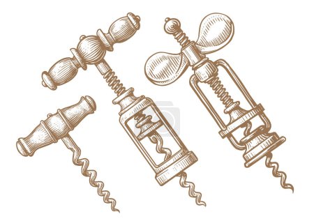 Téléchargez les illustrations : Hand drawn corkscrew in engraving style. Vintage style. Sketch vector illustration - en licence libre de droit