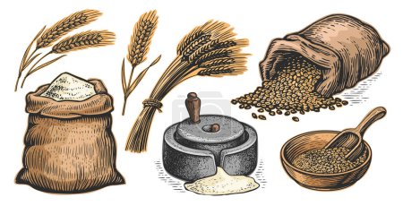 Concept de fabrication du pain. Collection d'illustrations vectorielles