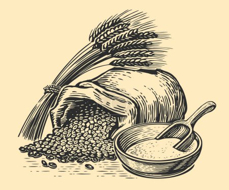 Illustration for Sack of grain, ears of wheat, bowl of flour and scoop. Vintage sketch vector illustration for bakery or cooking - Royalty Free Image
