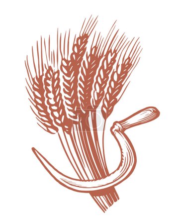 Illustration for Sheaf of wheat and sickle. Cooking and baking flour, food ingredients. Agriculture, farm concept. Vector illustration - Royalty Free Image