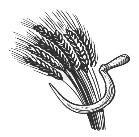 Sichel und Weizen im Stil alter Kupferstiche. Vintage-Skizzenvektorillustration zum Backen oder Kochen