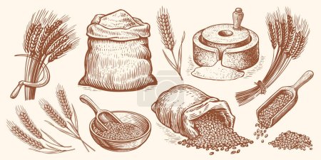 Farm wheat concept. Hand drawn bakery vector illustration set. Baking bread, food collection