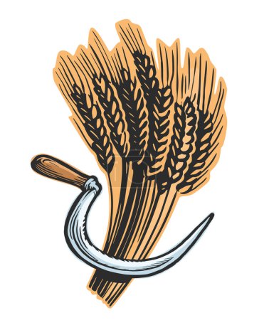 Illustration for Sickle reaps wheat. Farm organic food. Bakery, bread, baking concept. Vector illustration - Royalty Free Image