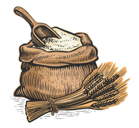 Illustration for Wheat ears, flour in sack with wooden scoop. Organic farm food. Vector illustration - Royalty Free Image