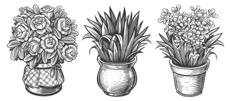 Téléchargez les illustrations : Plantes d'intérieur croquis. Set de plantes d'intérieur. Des fleurs dans un pot. Illustration vectorielle vintage en style gravure - en licence libre de droit