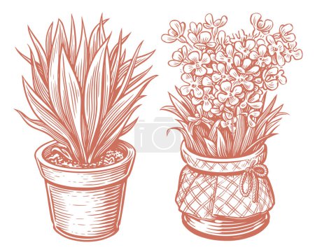 Téléchargez les illustrations : Fleur, feuilles de plantes dans un pot en style croquis. Illustration vectorielle plante d'intérieur style gravure vintage - en licence libre de droit