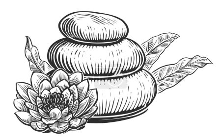 Téléchargez les illustrations : Pierres de basalte spa zen avec fleurs de lis et feuilles d'eucalyptus. Esquisse de massothérapie illustration vectorielle vintage - en licence libre de droit