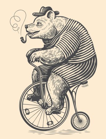Téléchargez les illustrations : Mignon ours monte un vélo rétro. Style de gravure d'illustration vectorielle de croquis vintage - en licence libre de droit