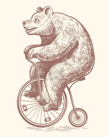 Téléchargez les illustrations : Bear monte un vélo rétro dessiné dans un style de gravure vintage. Spectacle de cirque. Illustration vectorielle de croquis - en licence libre de droit