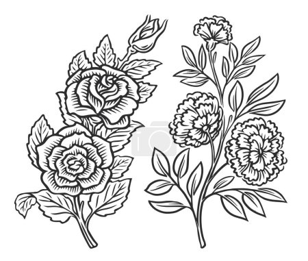 Illustration for Flowers twig set. Wildflowers, roses with leaves drawn in sketch style. Floral pattern vintage vector illustration - Royalty Free Image