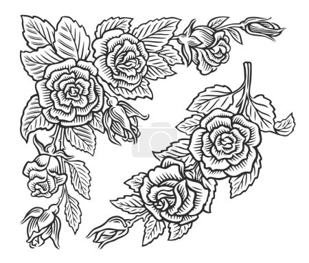 Ilustración de Set de adornos de flores. Flores silvestres, rosas con hojas dibujadas en estilo boceto. Patrón floral vintage vector ilustración - Imagen libre de derechos