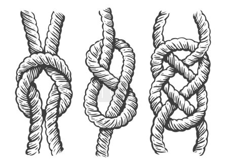 Ilustración de Conjunto de nudos de cuerda náutica. Bosquejo de concepto marino. Ilustración vectorial vintage en estilo grabado - Imagen libre de derechos