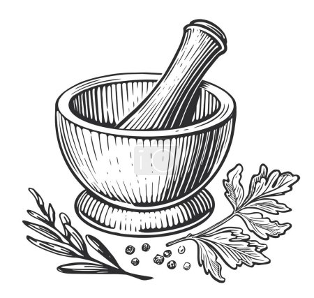 Ilustración de Mortero y empujador para molienda de hierbas aisladas sobre un fondo blanco. Dibujo dibujado a mano ilustración vector vintage - Imagen libre de derechos