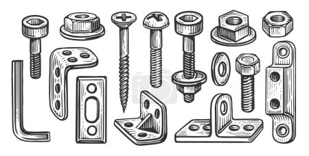 Illustration for Hardware collection vector. Set of steel bolts and nuts, screw, dowel, metal anchor bolt, construction lock washer - Royalty Free Image