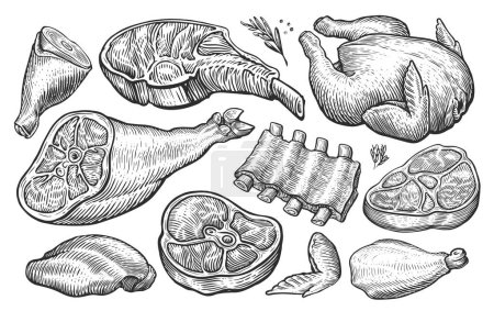 Illustration for Meat set. Hand drawn vector illustration for butcher shop or restaurant menu. Sketch engraved style - Royalty Free Image