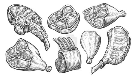 Illustration for Meat products set sketch. Beef steak, ham, lamb ribs, pork, chicken leg. Butchery shop assortment vector illustration - Royalty Free Image