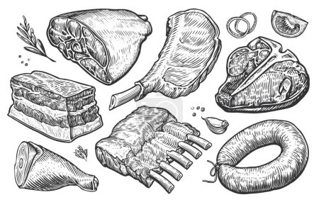 Frische rohe Fleischprodukte. Skizzenstil eingraviert. Handgezeichnete Vektorillustration für Metzgerei oder Restaurant-Speisekarte