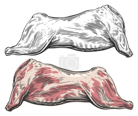 Téléchargez les illustrations : Carcasse entière de viande crue. Illustration vectorielle style de gravure - en licence libre de droit