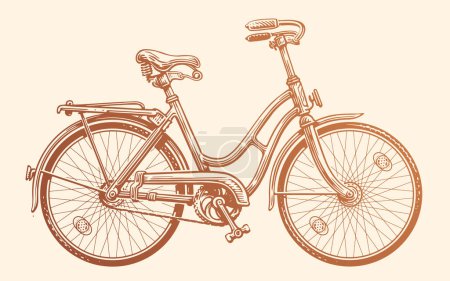 Illustration for Womens retro bicycle in style of vintage engraving. Hand drawn transport, vector illustration - Royalty Free Image