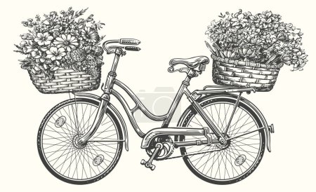 Illustration for Hand drawn retro bicycle with spring flowers and plants in basket. Vintage sketch vector illustration - Royalty Free Image