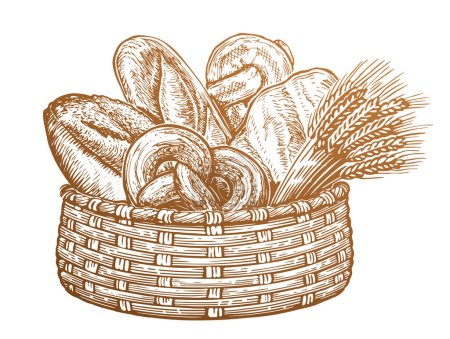 Téléchargez les illustrations : Différents types de pains et épis de blé dans le panier. Boulangerie fraîche, croquis illustration vectorielle vintage - en licence libre de droit