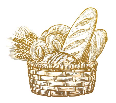 Téléchargez les illustrations : Produits de boulangerie frais, croquis illustration vectorielle vintage. Pains et épis de blé dans le panier - en licence libre de droit