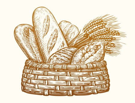 Illustration for Bakery products in wicker basket. Fresh baked goods, sketch vintage vector illustration. Breads and ears of wheat - Royalty Free Image