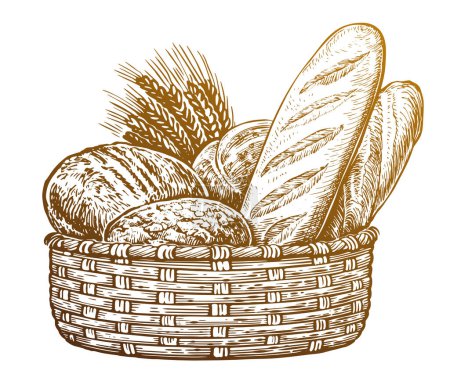 Téléchargez les illustrations : Panier avec pain frais cuit au four et blé. Illustration vectorielle pour boulangerie - en licence libre de droit