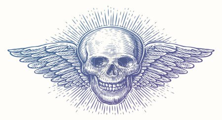 Illustration for Human skull with wings. Winged skeleton head. Hand drawn sketch vintage vector illustration - Royalty Free Image