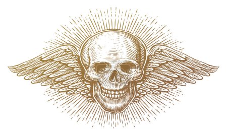 Illustration for Wings and skull. Winged skeleton in old engraving style. Hand drawn vintage vector illustration - Royalty Free Image