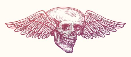 Illustration for Hand drawn human skull with wings. Winged skeleton sketch. Vintage vector illustration - Royalty Free Image