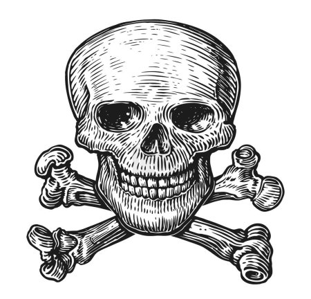 Ilustración de Cráneo humano con huesos cruzados. Blanco y negro, ilustración vectorial aislada sobre fondo blanco - Imagen libre de derechos