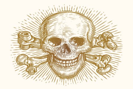 Skull and crossbones with rays. Human skeleton head sketch. Hand drawn vintage vector illustration