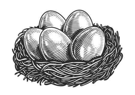 Ilustración de Huevos de pollo en el nido. Alimento ecológico de granja. Dibujo dibujado a mano ilustración vector vintage - Imagen libre de derechos