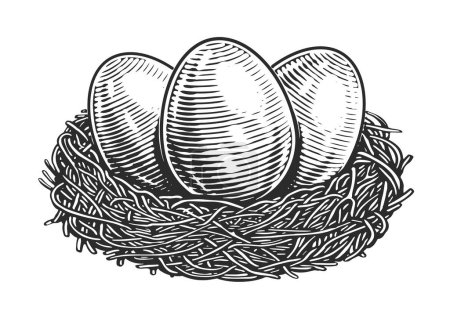 Ilustración de Huevos de pollo en el nido. Productos agrícolas ecológicos. Dibujo dibujado a mano ilustración vector vintage - Imagen libre de derechos