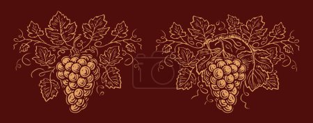 Ilustración de Uvas y hojas. Ramo de vino ornamento vid. Viñedo, vector de etiqueta de emblema de bodega - Imagen libre de derechos