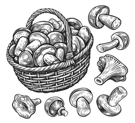 Illustration for Hand drawn wicker basket full of mushrooms. Fresh organic food. Sketch vintage vector illustration - Royalty Free Image