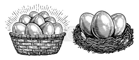 Illustration for Chicken eggs. Farm organic food. Hand drawn illustration sketch - Royalty Free Image