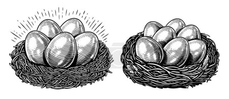 Chicken eggs in nest. Farm organic products set. Hand drawn sketch illustration